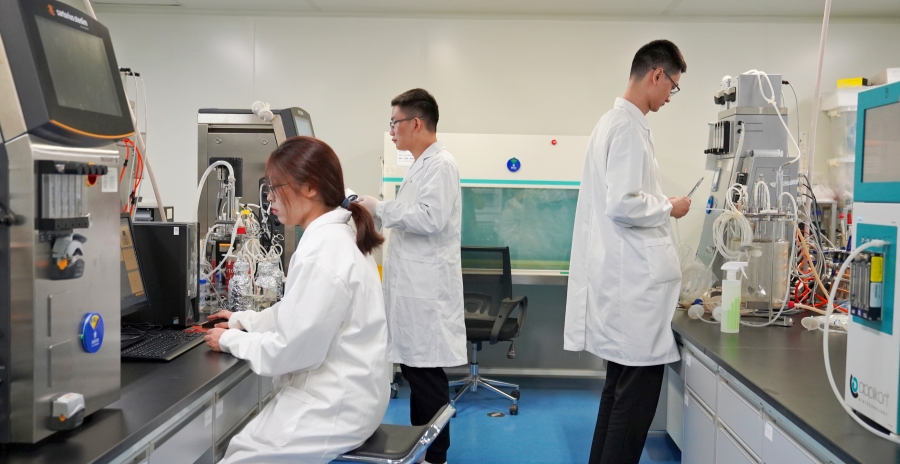 创业板15周年：百乐博blb生物的成长与创新之路